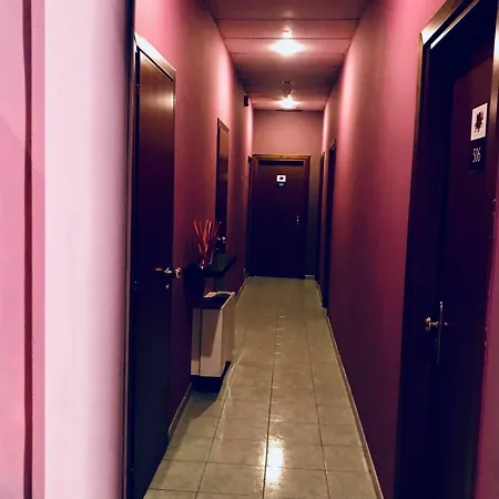 Отель Hoteli 2*